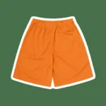 MINI ISLAND MESH SHORT ORANGE